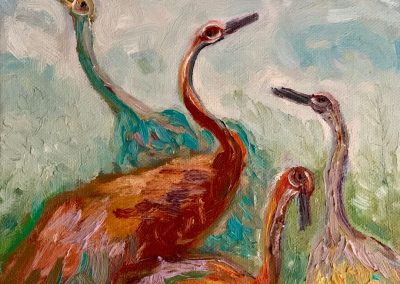 Beautiful Birds