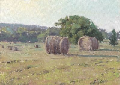 Diane's Hay Field
