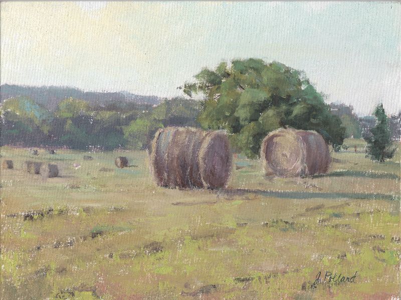 Diane's Hay Field