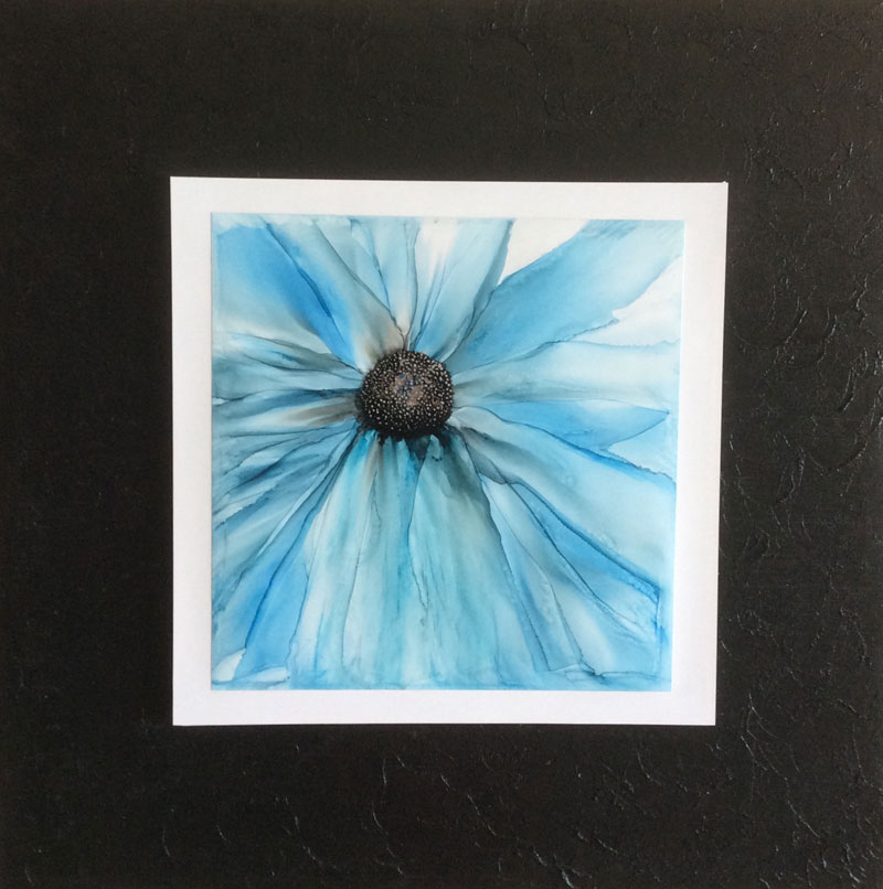 Ice Blue Ice Blue