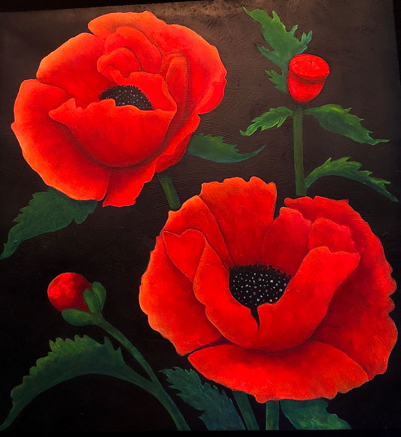 Red Poppies Red Poppies