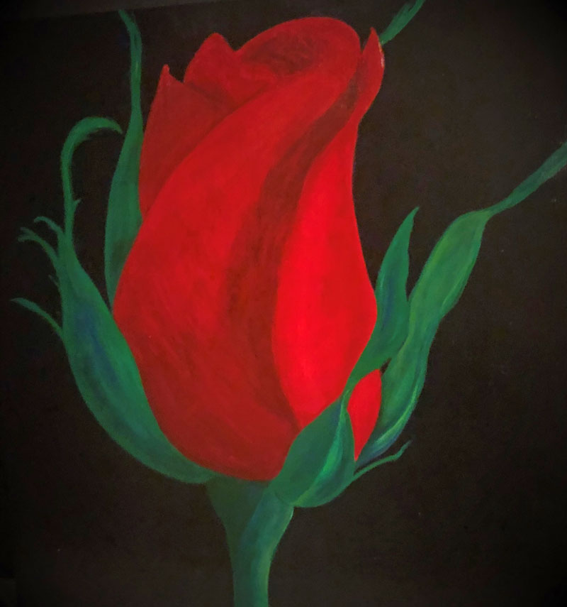 Red Rosebud Red Rosebud