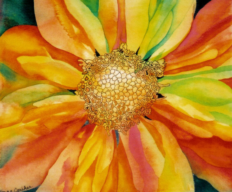 Sunflower Sunflower